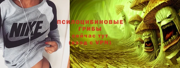 соль ск Алексин